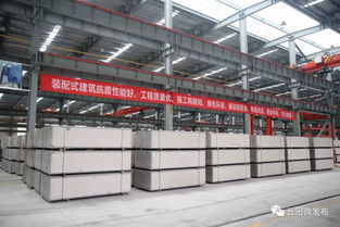 大工程丨云陽這個企業(yè)讓 綠色工藝 引領(lǐng)現(xiàn)代住宅發(fā)展新方向